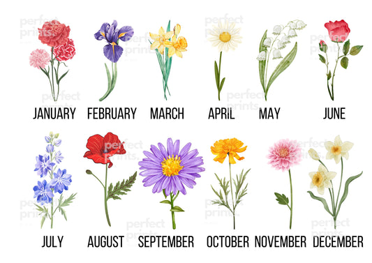 A4|A3 Birth Month Print